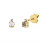 Ohrstecker 4er-Krappe Gelbgold 18kt 0,02 Diamantschmuck Farbstein 0,31 ct - 2U192